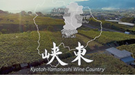 日本遺産『葡萄畑が織りなす風景』